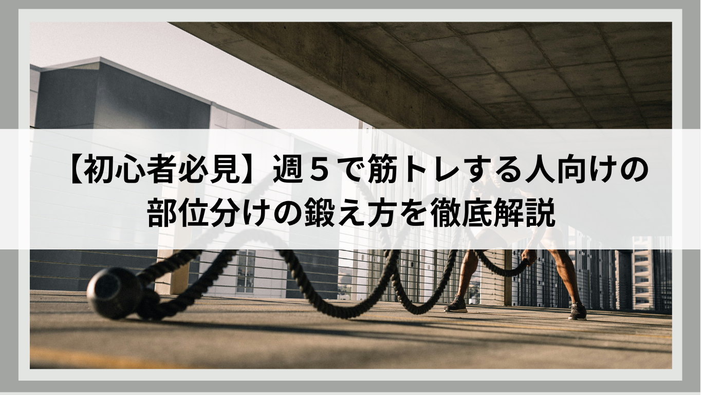 【初心者必見】週５で筋トレする人向けの部位分け鍛え方を徹底解説