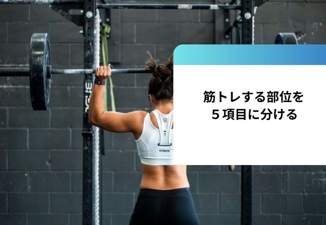 筋トレする部位を５項目に分ける